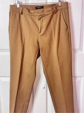 Liverpool Women's Camel Brown Tailored Trousers
